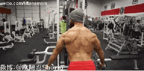 1c8e64cb833646b1a46484cb57b575d6.gif