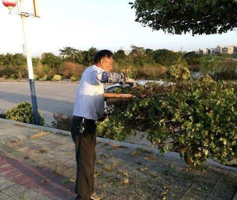 【人物】邱马平:永"不退休"的园丁_大道_靖海镇_惠来