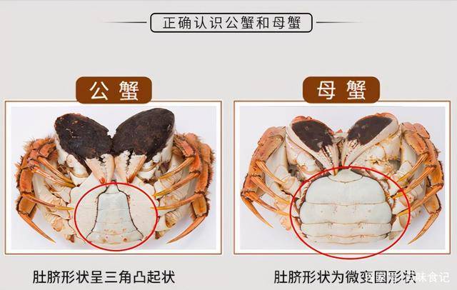 螃蟹蒸多长时间就没有蟹黄了 37665204c84c4b71a330a67f2a851d88.jpeg