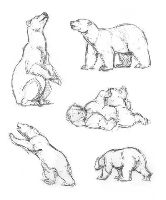 500个动物简笔画小教程,都是干货呀_绘画_jhh-art_犀牛