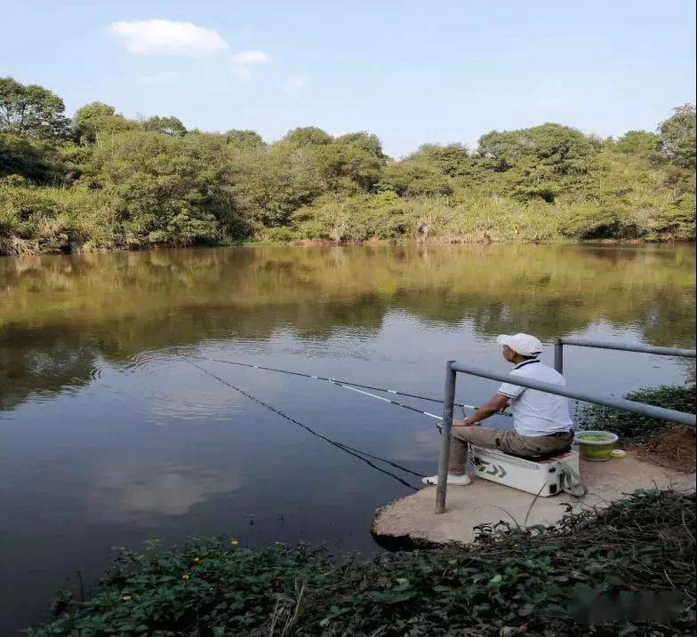 浈江区成功创建首家国家aaa级景区,垂钓,素拓,餐饮玩