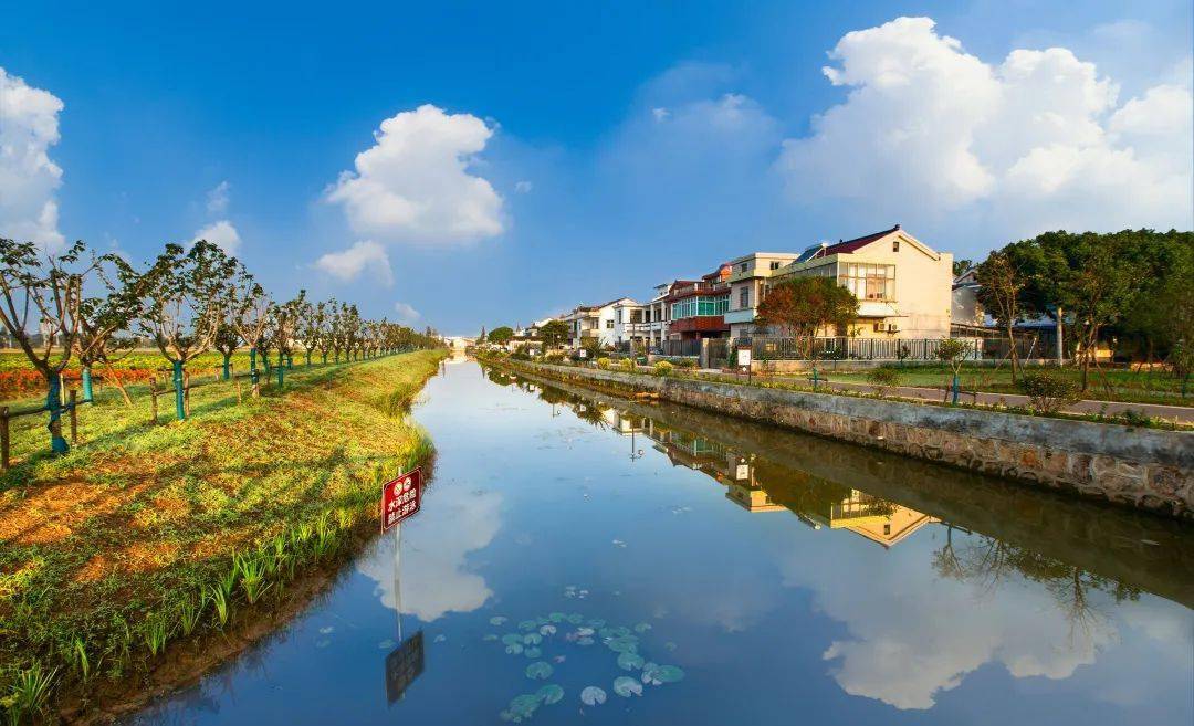 杨舍镇蝉联苏州市文明镇