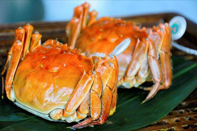 哪里的大闸蟹好吃 f886af9c21fd48c982d8dc92158c0eda.jpeg