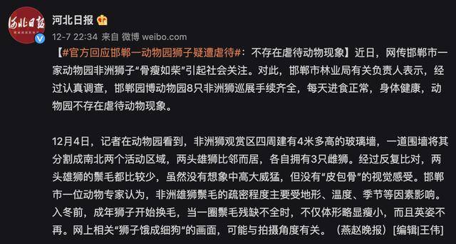 官方回應邯鄲一動物園獅子疑遭虐待:不存在虐待動物現象_鬃毛_雄獅_有