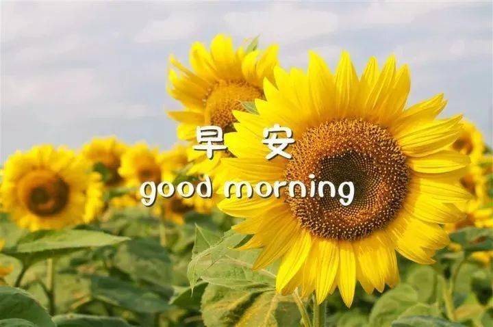 78b26f458870437eb426592ccf16299a.jpeg