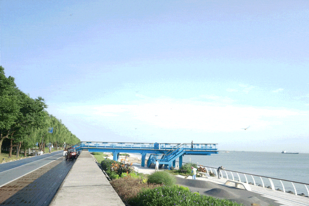 1218宝山生态步道徒步6公里滨江绿道遇见吴淞滨江美景