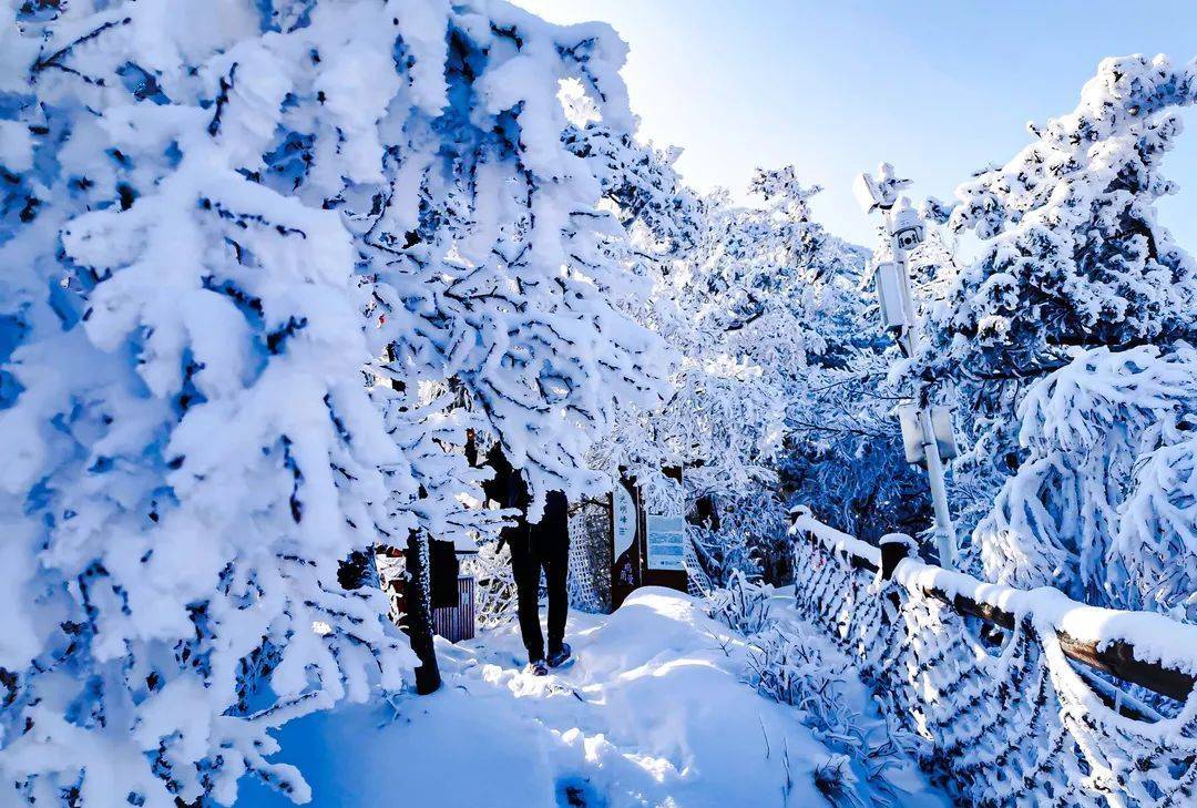 洛阳白云山雪景有多美"千里冰封,万里雪飘"雪花飞舞,漫天银色.