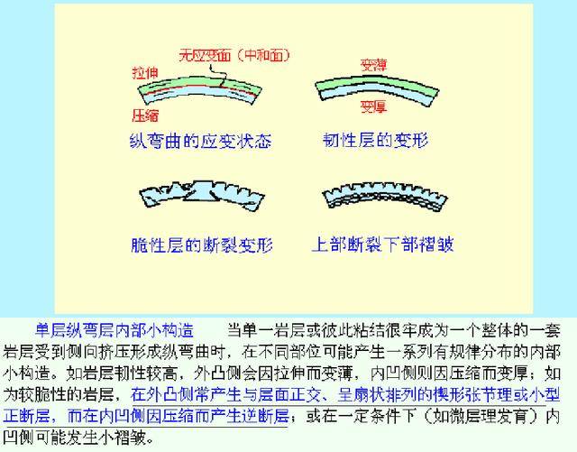 褶皱的形成机制