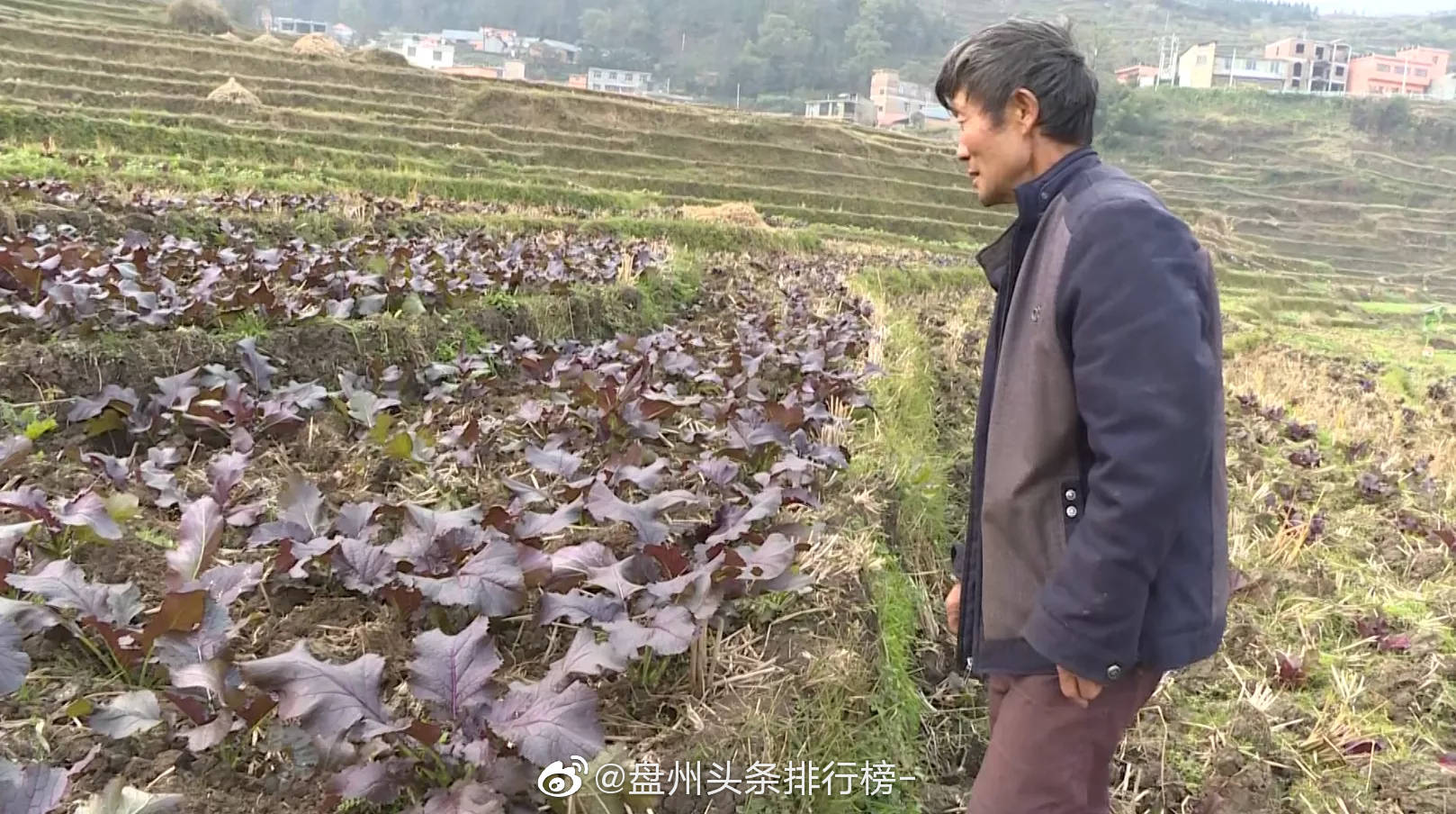 震撼盤州市新民鎮萬畝梯田上的巨型奮鬥