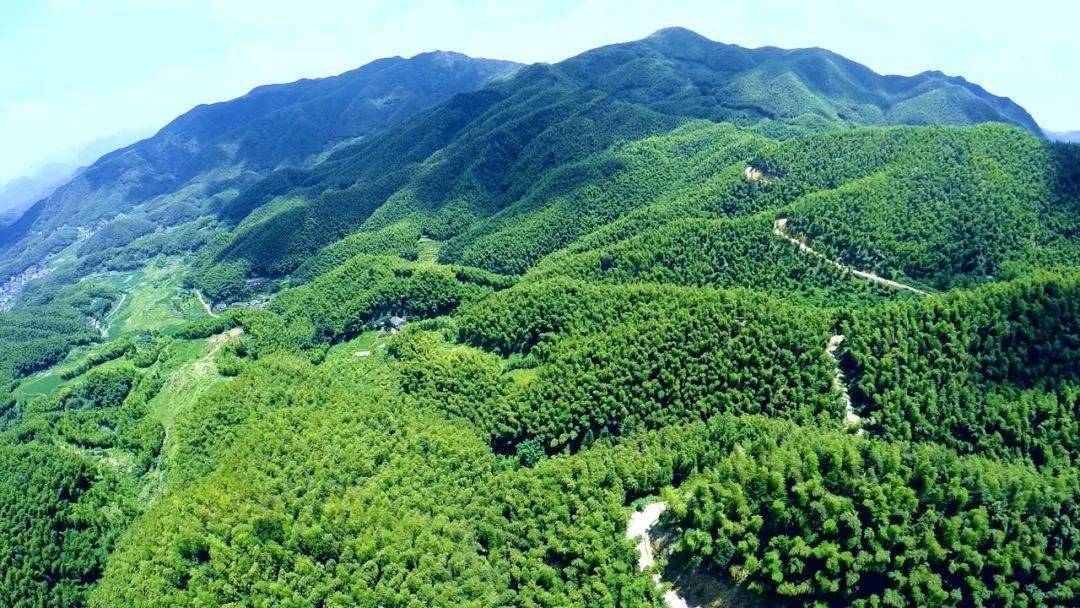 衢州市六春湖风景区图片