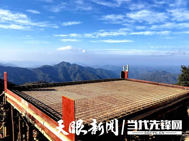 【四新四化蹲点采访】 望谟县打易镇:无限春色在二泥_茶园_陈仕杰