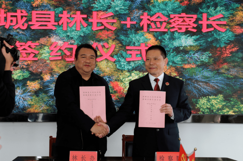 浦城检察公开听证公开送达为古树名木撑起司法保护伞