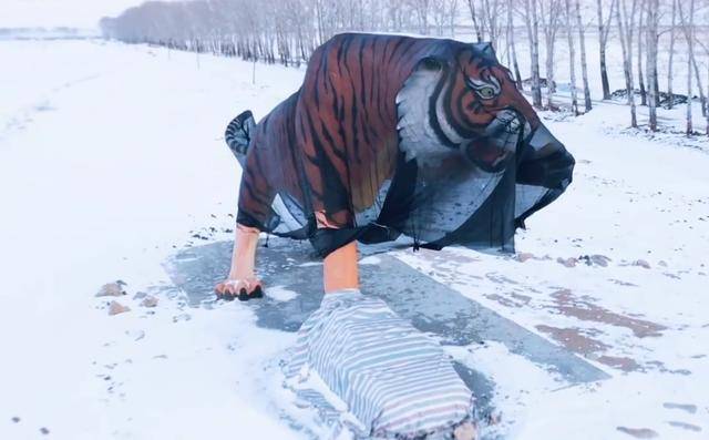 被老虎咬伤村民:心里始终有阴影_密山市_湖村_东北虎