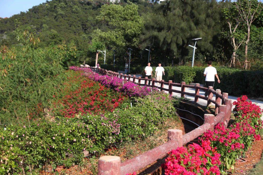 空间|厦门山海健康步道“上新”！1500㎡花海、5个便民服务点……