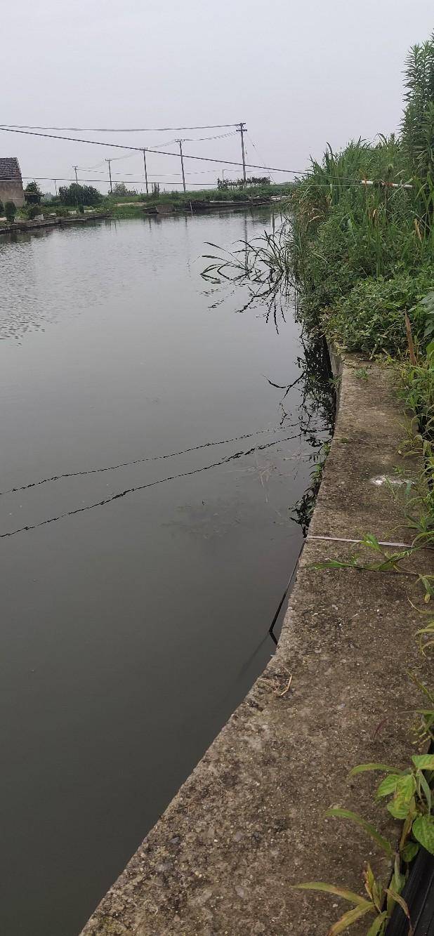 英雄豪杰展身手 开杆即擒大头归 杨树坑 小河 上岸