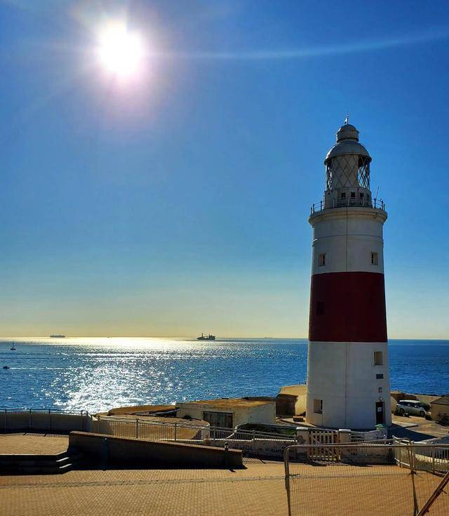 直布罗陀海峡的猴子_欧罗巴_西班牙_英国的