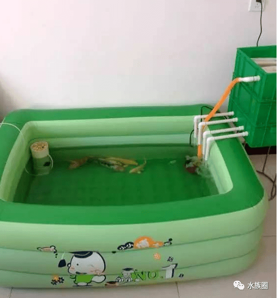 就是洗衣机,相信也不是因为穷,但是想养鱼的人会想尽各种办法实现.