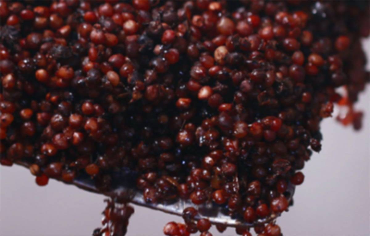 白酒常说的坤沙碎沙翻沙和窜沙是啥意思