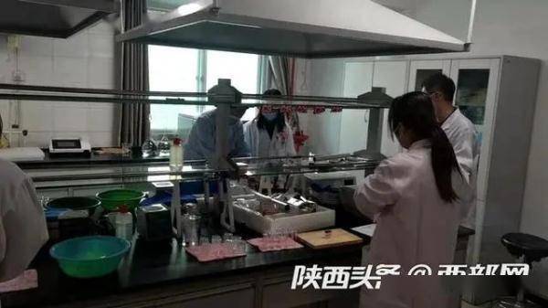 接种|警惕！西安出现多例出血热！专家辟谣：跟“吃草莓”无关……