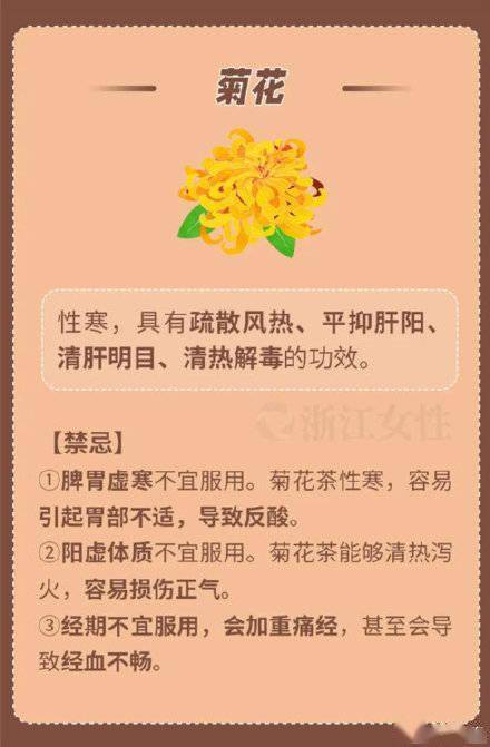 禁忌|養生茶喝錯反傷身！
