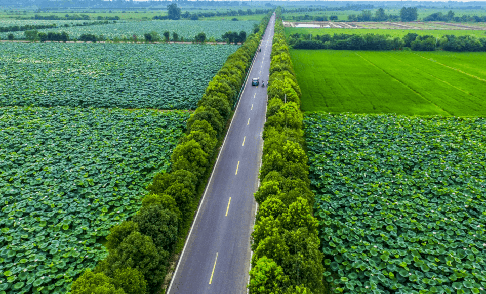 合肥市四好农村路示范乡镇名单公布这5个乡镇上榜