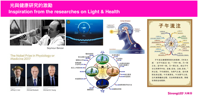 大峡谷林纪良：照明的元宇宙时代刚性芒果体育需求＋数字化服务平台=变革行业格局(图9)