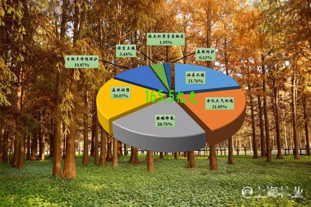 上海森林生态系统服务功能价值由高至低依次为:涵养水源,净化大气环境