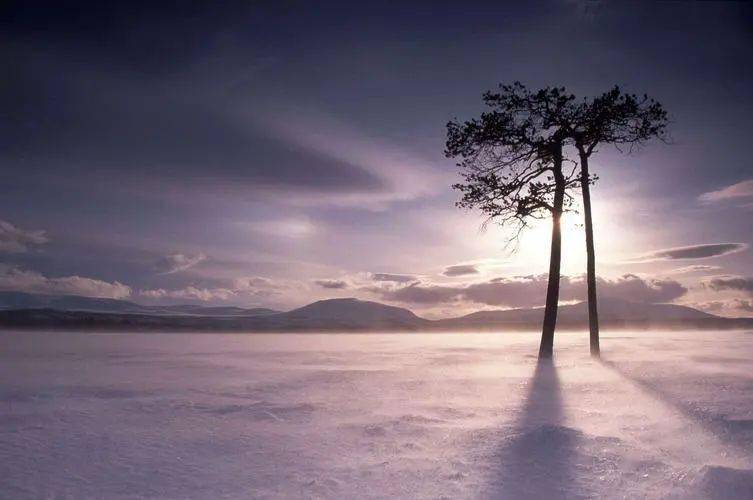 天与地,见证了蒹葭与诗经的足迹岁月变迁,时光如白驹过隙青青子衿