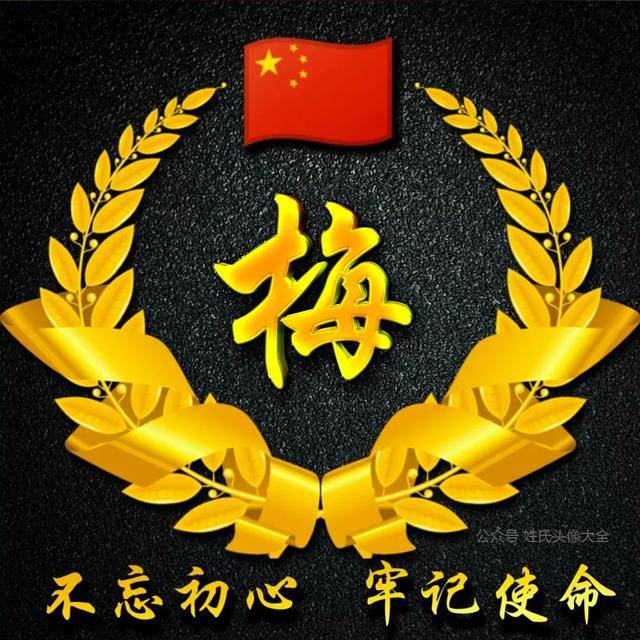 国旗麦穗姓氏头像图片