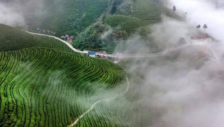 节气|今日冬至：漫漫冬夜，烹雪煎茶，不枉人间百年｜草地·二十四节气