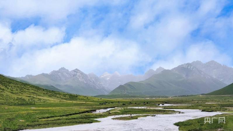 草原|厚植底色——青海久治绘就绿水青山新画卷