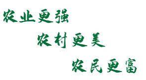 茶叶|一块块金字招牌的背后,竟是……