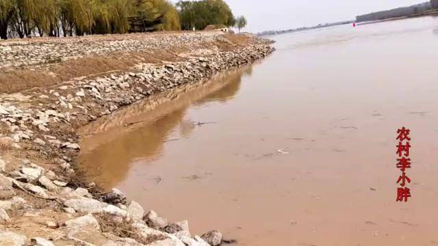 黄河有巨物黄河大爷亲眼所见走水大半米大船走不动得上千斤