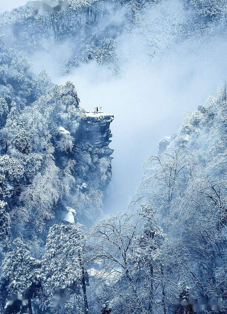 屏边大围山雪景图片