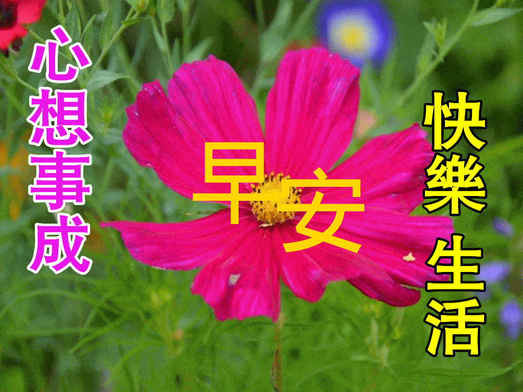 12月22日早上好动态表情图片大全早上好动图美图大全