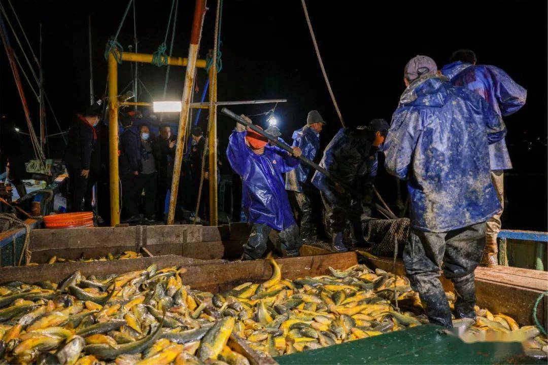 嵊泗_旅游_捕捞