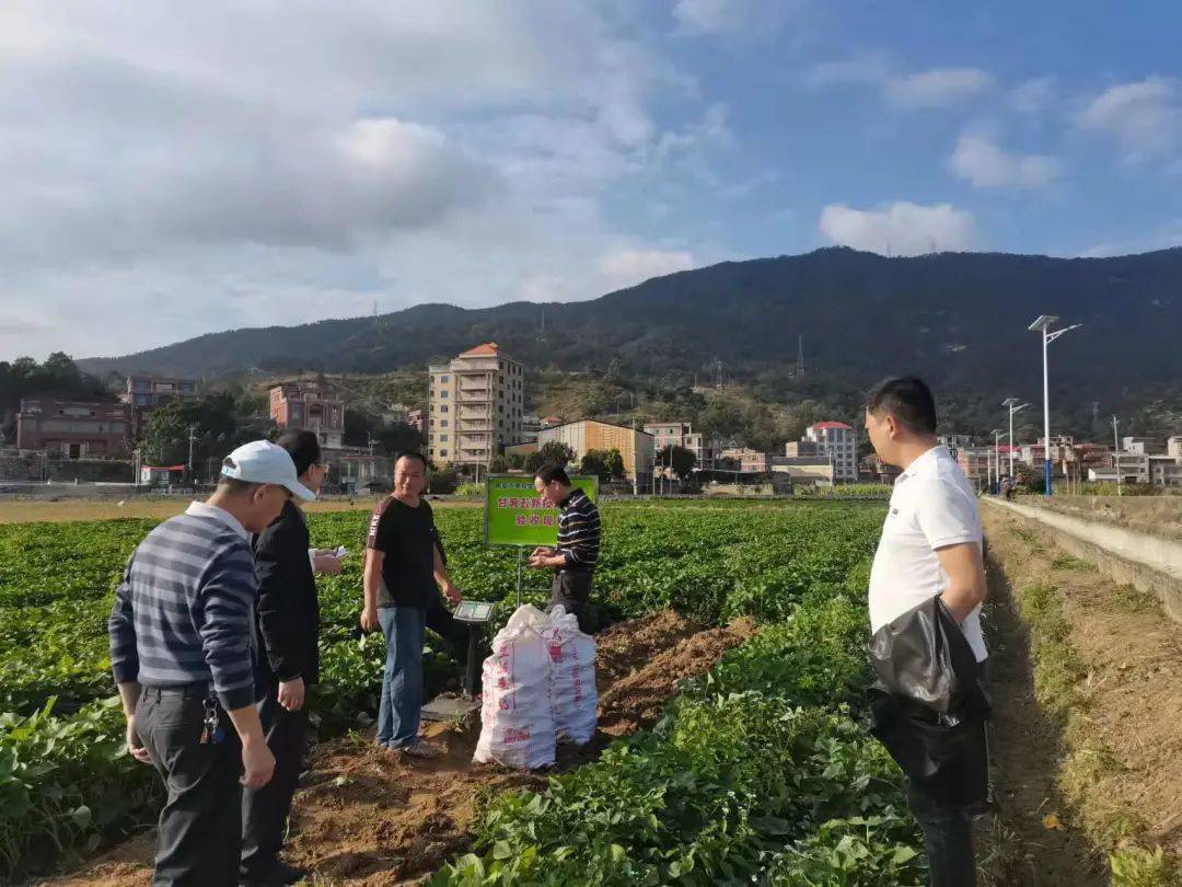 我为群众办实事12月17日，南安市农业农村局组织技术人员对南安市第二批“