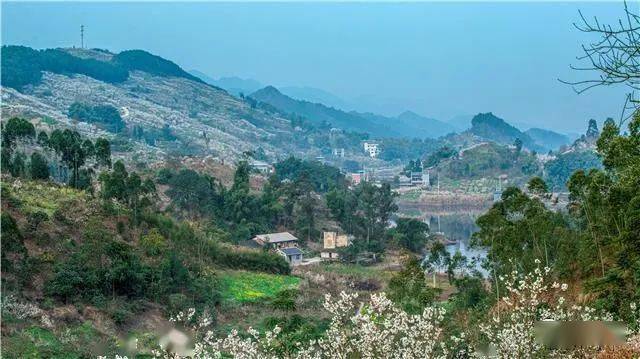 样板区农村高品质生活示范区新画卷八塘镇推进文旅融合赋能乡村振兴