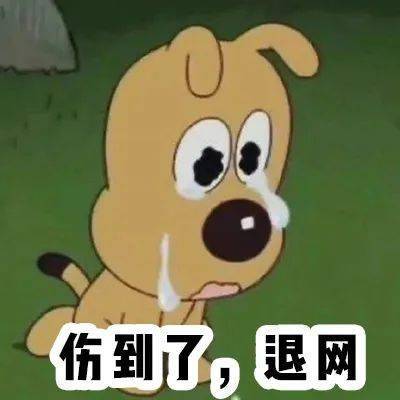 文章配图-9