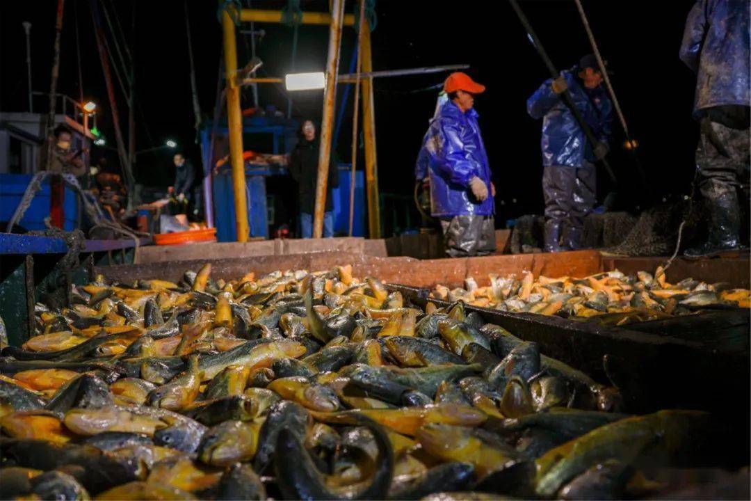 嵊泗_旅游_捕捞