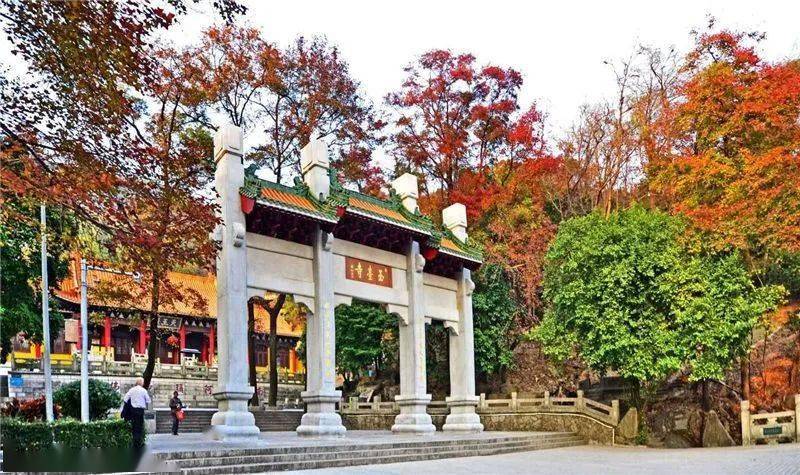 圭峰山山势雄伟,秀峰挺拔,主峰云峰,海拔545米,空气负离子的含量每