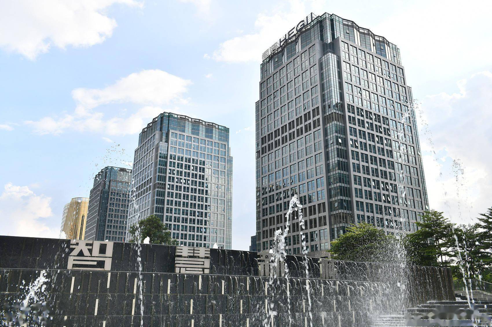 95后创业者都爱的城市 长这样 佛山 程自昂 兰威平