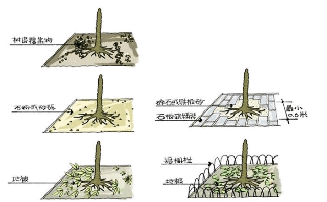 种树无时,只要树不知:大树全年种植秘诀~_树木_土壤_排水