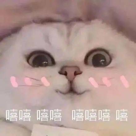 ad3baf4f571f4a92b420028ebcfef5a0.jpeg