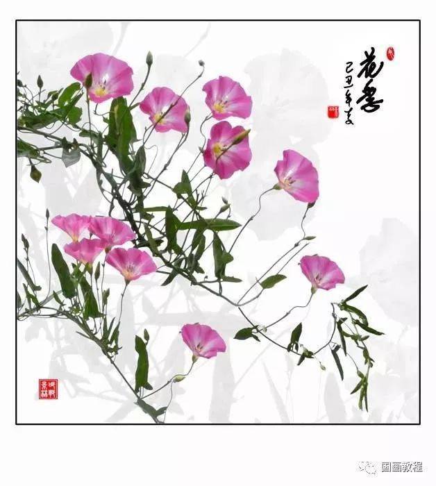 100幅特別漂亮的牽牛花作品_國畫_合作_教程