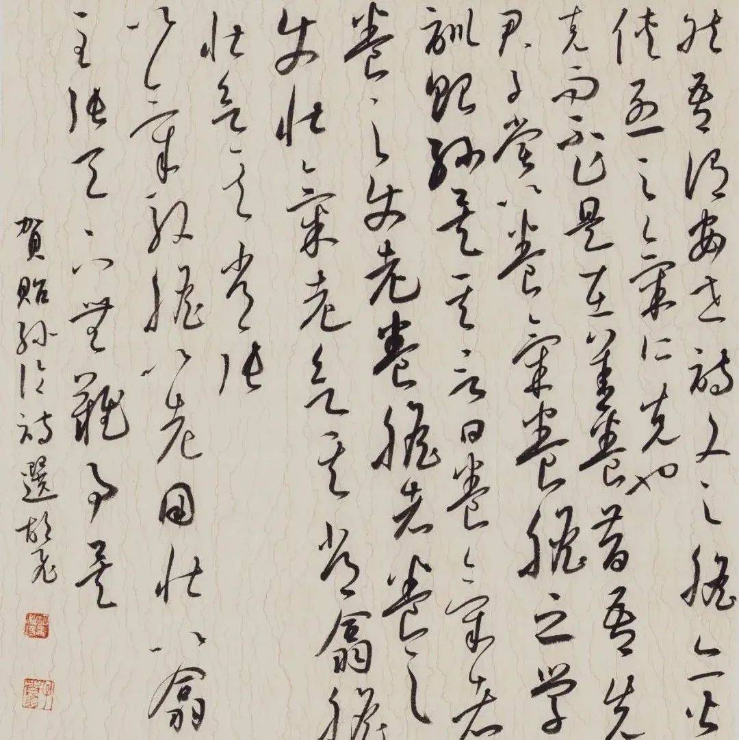 国展精英|胡飞书法欣赏_湖北省_全国_青年