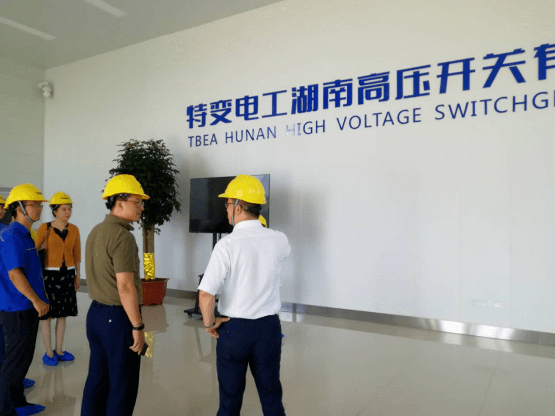 赛迪集团公司简介 0b43e3ee9ef6490982efa6219a624b63.png