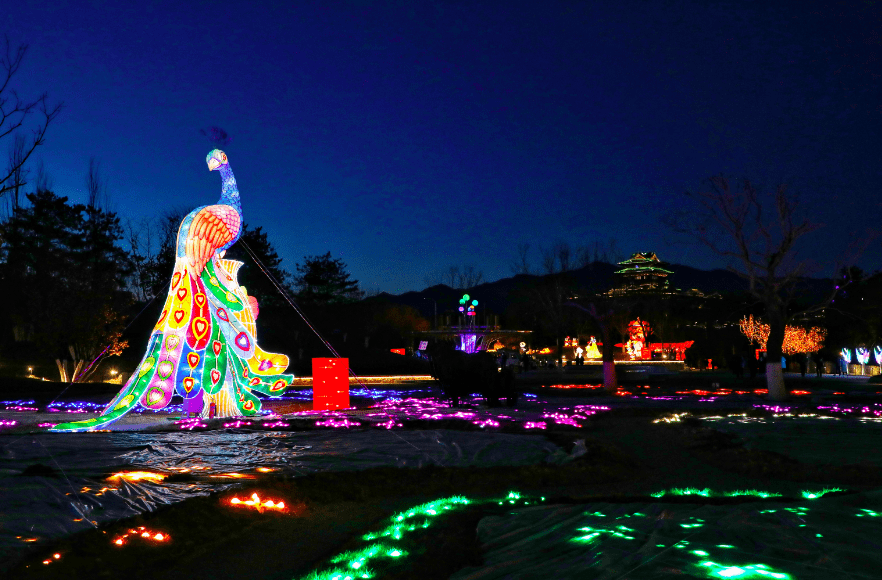 游客|先睹为快！世园公园点亮花灯，首届冰雪嘉年华启幕