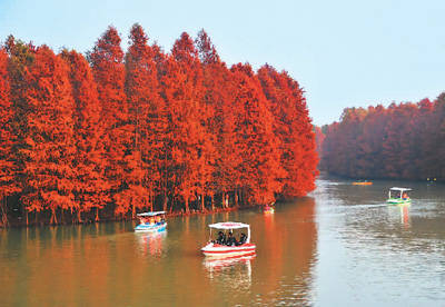 景区|中国旅游走进日常生活