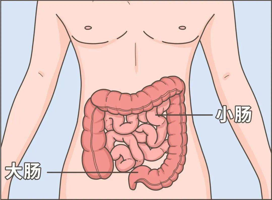 臭味|到底吃什么了？有些人的屎怎么会那么臭！